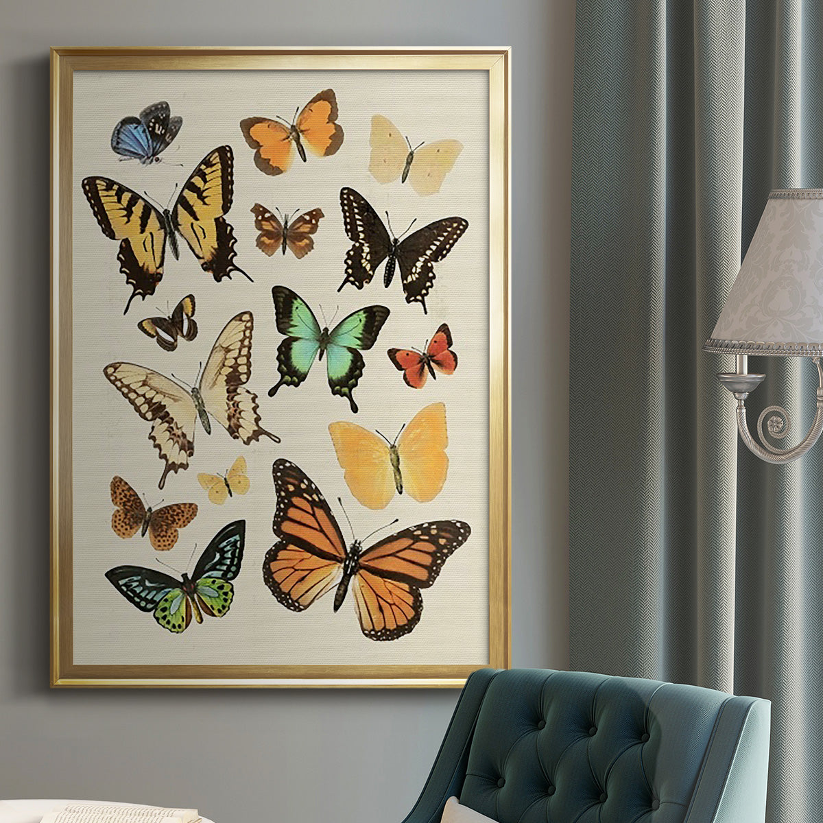 Collected Flutter I - Modern Framed Canvas Print