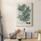 Collected Ferns VIII Premium Gallery Wrapped Canvas - Ready to Hang