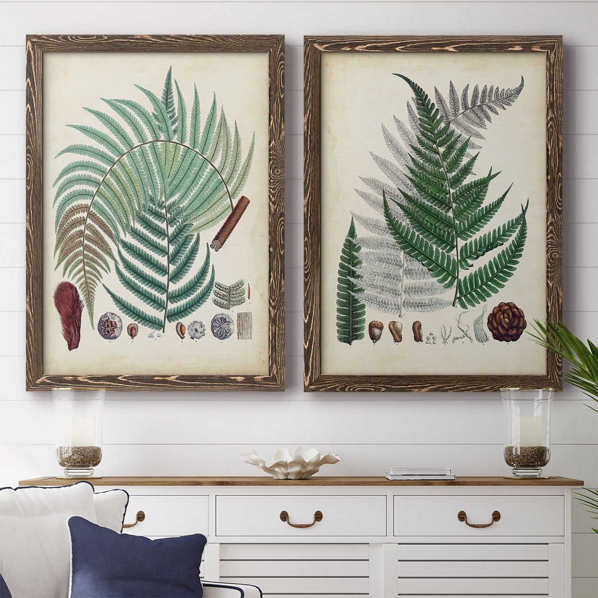 Collected Ferns I - Premium Framed Canvas 2 Piece Set - Ready to Hang