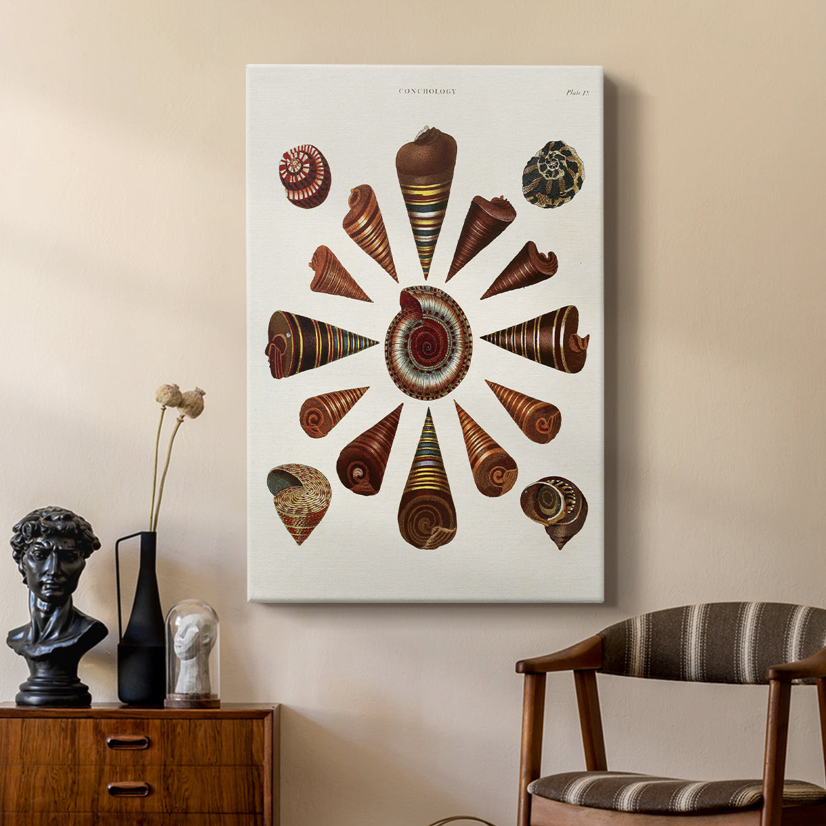 Spiral Shell Formation IV - Canvas Art Print