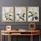 Floral Study Series LXXXVII - Restickable Framed Art Set