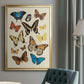 Collected Flutter II - Modern Framed Canvas Print