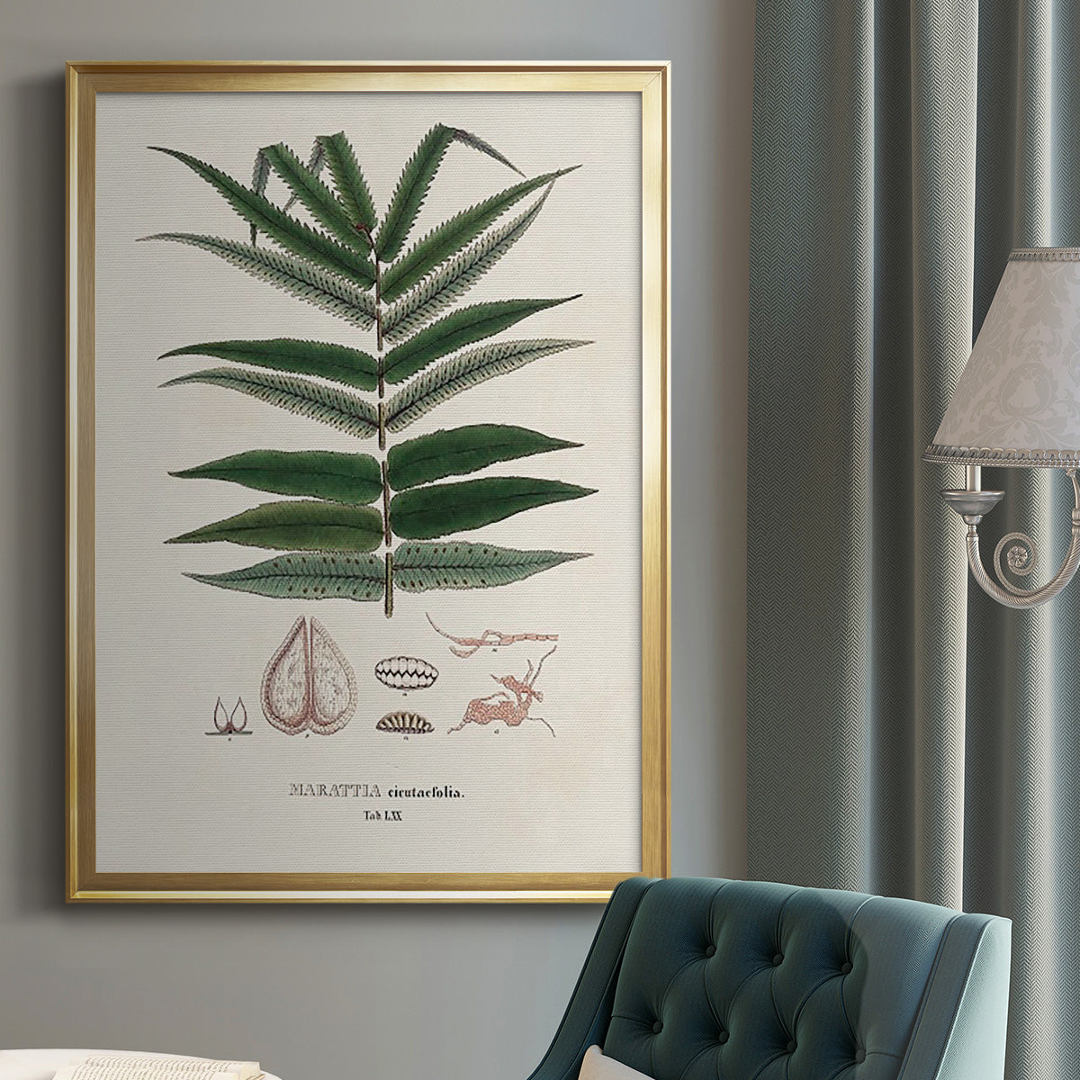 Botanical Society Ferns XII - Modern Framed Canvas Print