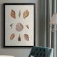 Knorr Shells & Coral VI - Modern Framed Canvas Print