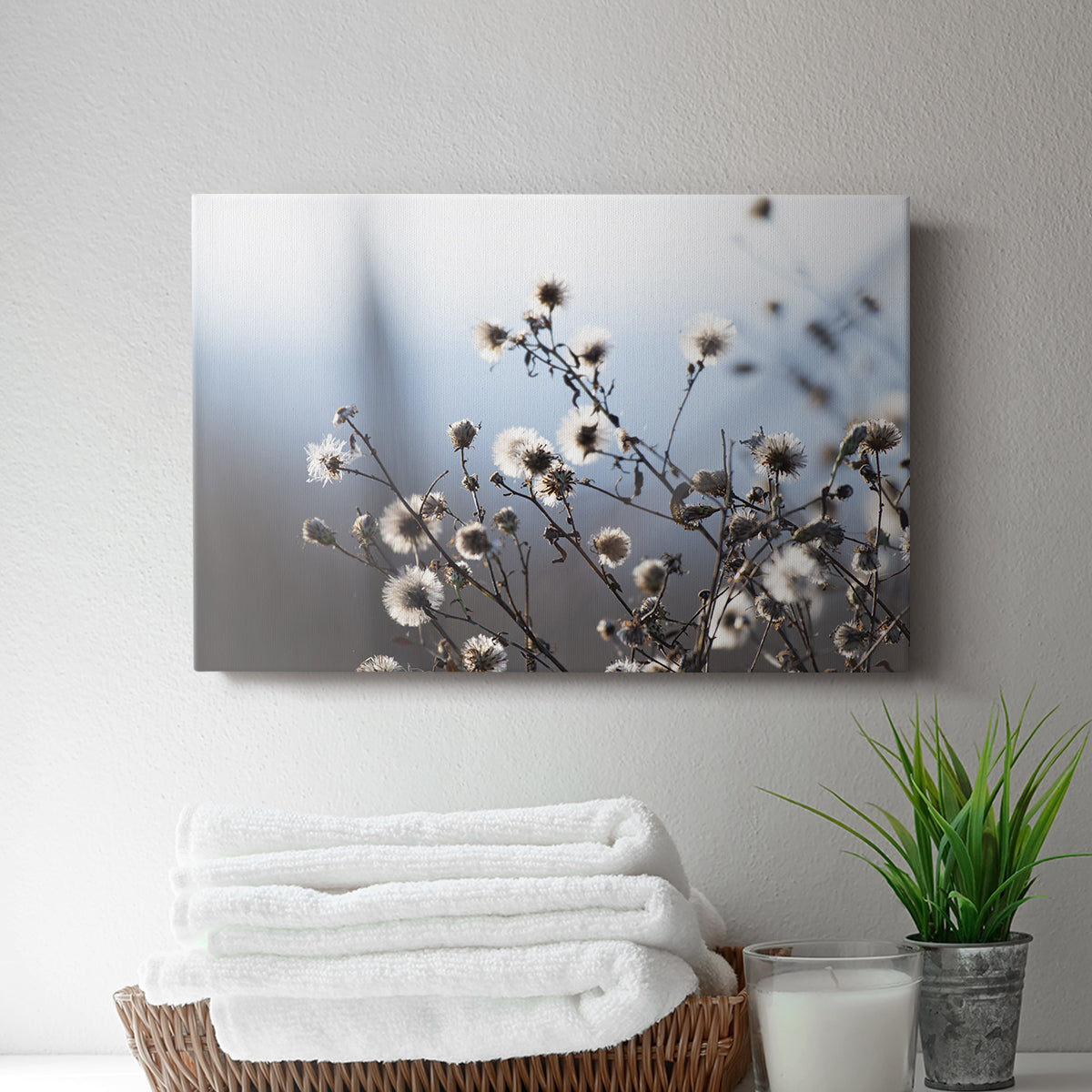 Spring Fluff - Canvas Art Print
