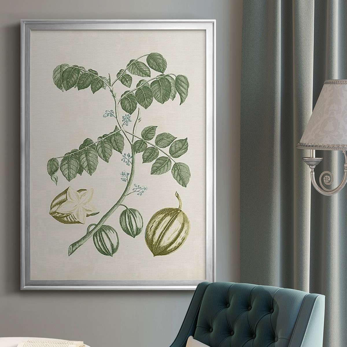 Buchoz Tropicals II - Modern Framed Canvas Print