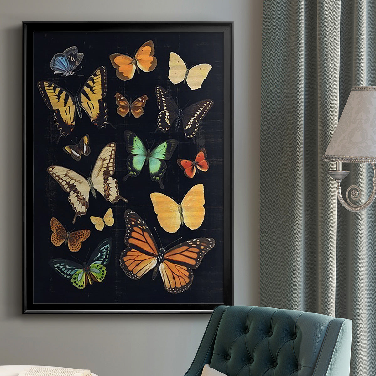 Collected Flutter III - Modern Framed Canvas Print