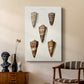 Cone Shell Collection II - Canvas Art Print