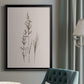 Delicate Stems I - Modern Framed Canvas Print