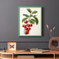 Antique Fruit II - Restickable Framed Art Print