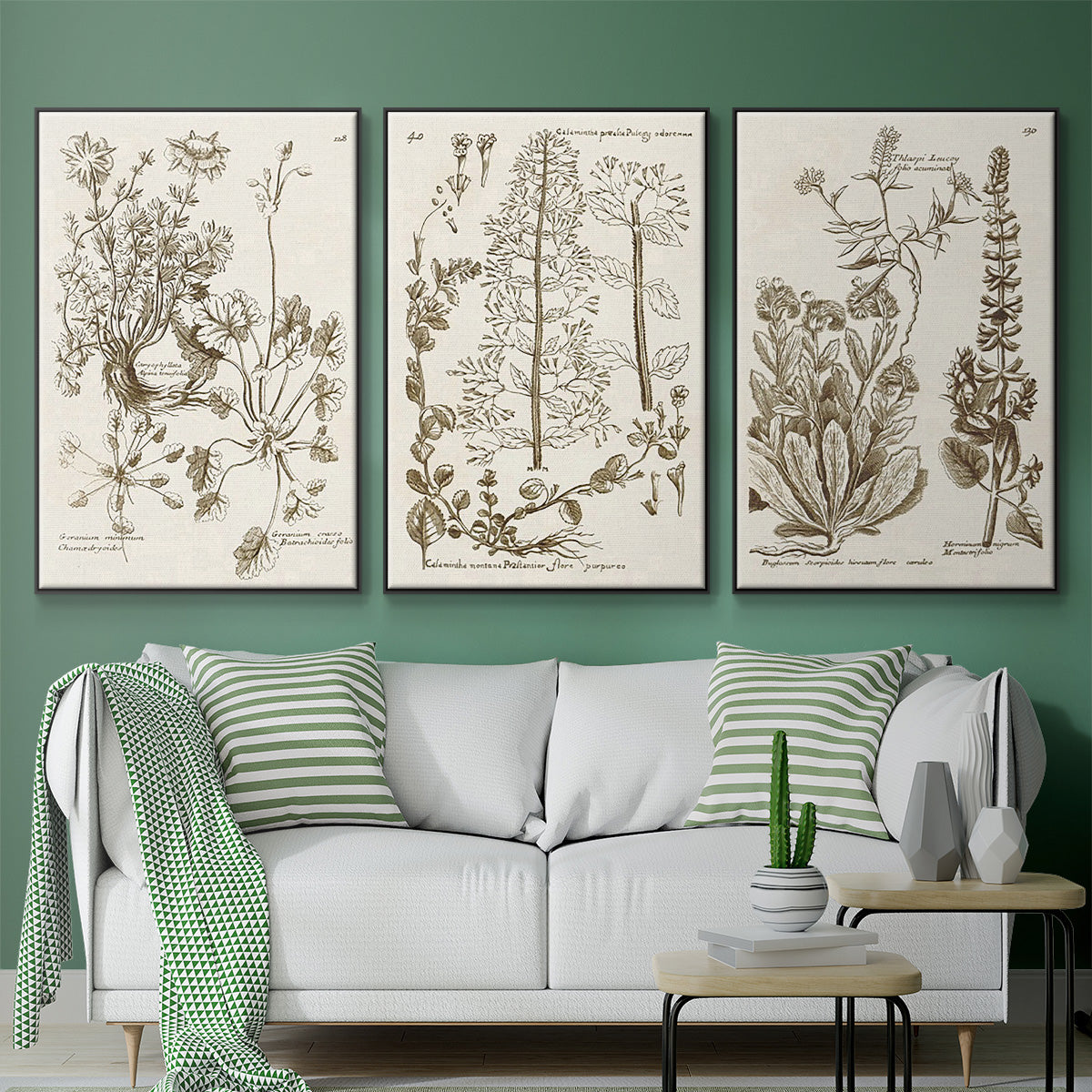 Sepia Botanical Journal IV - Framed Premium Gallery Wrapped Canvas L Frame 3 Piece Set - Ready to Hang