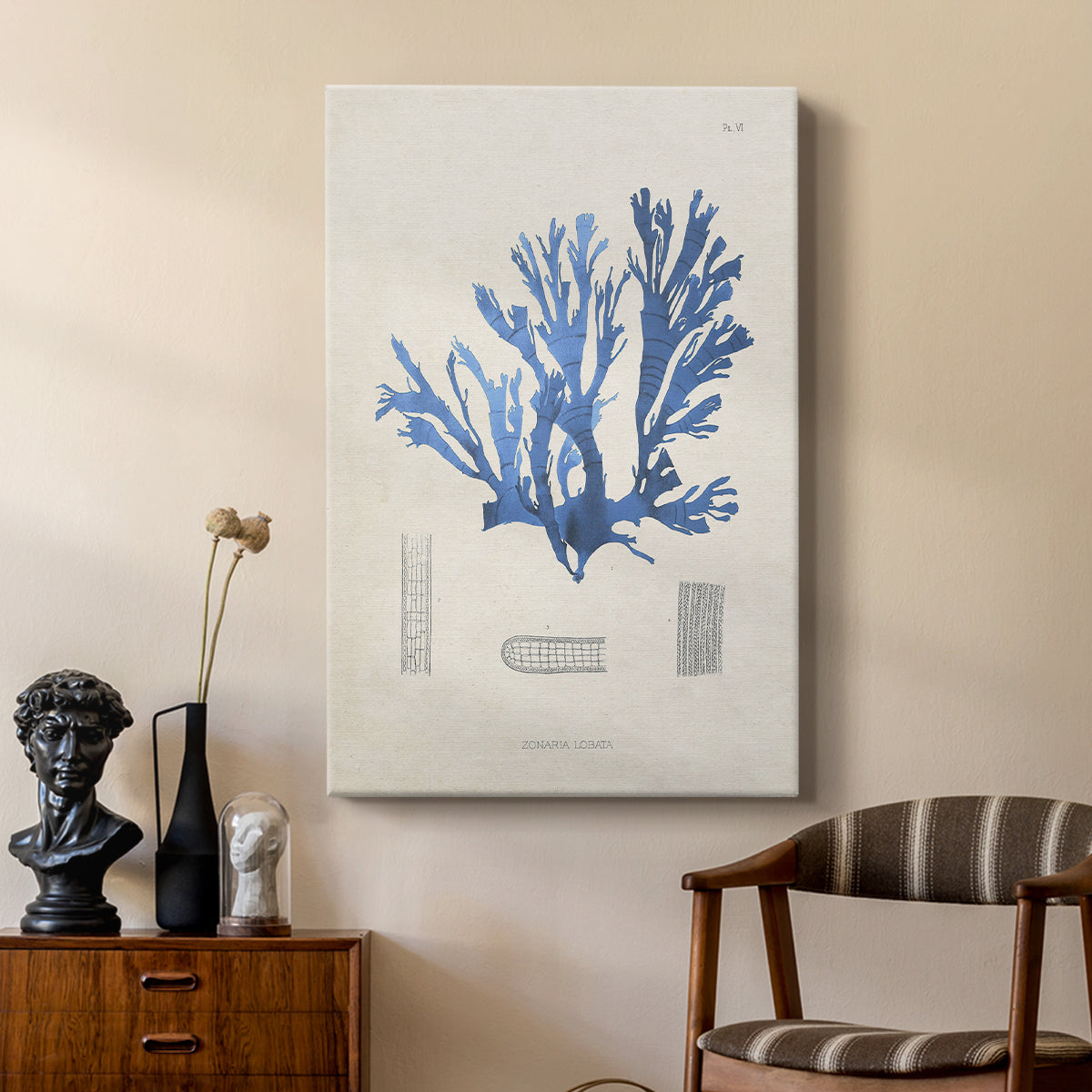 Blue Marine Algae IX - Canvas Art Print
