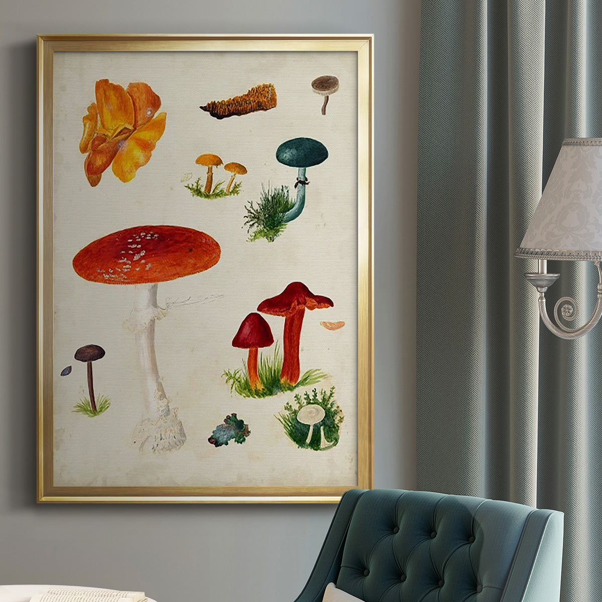 Mushroom Species VIII - Modern Framed Canvas Print