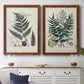 Set of two maple barnwood framed canvas prints depicting a coordinated art pair of vintage fern specimens with botanical details rendered as natural-history fern plates above a dining room sideboard.