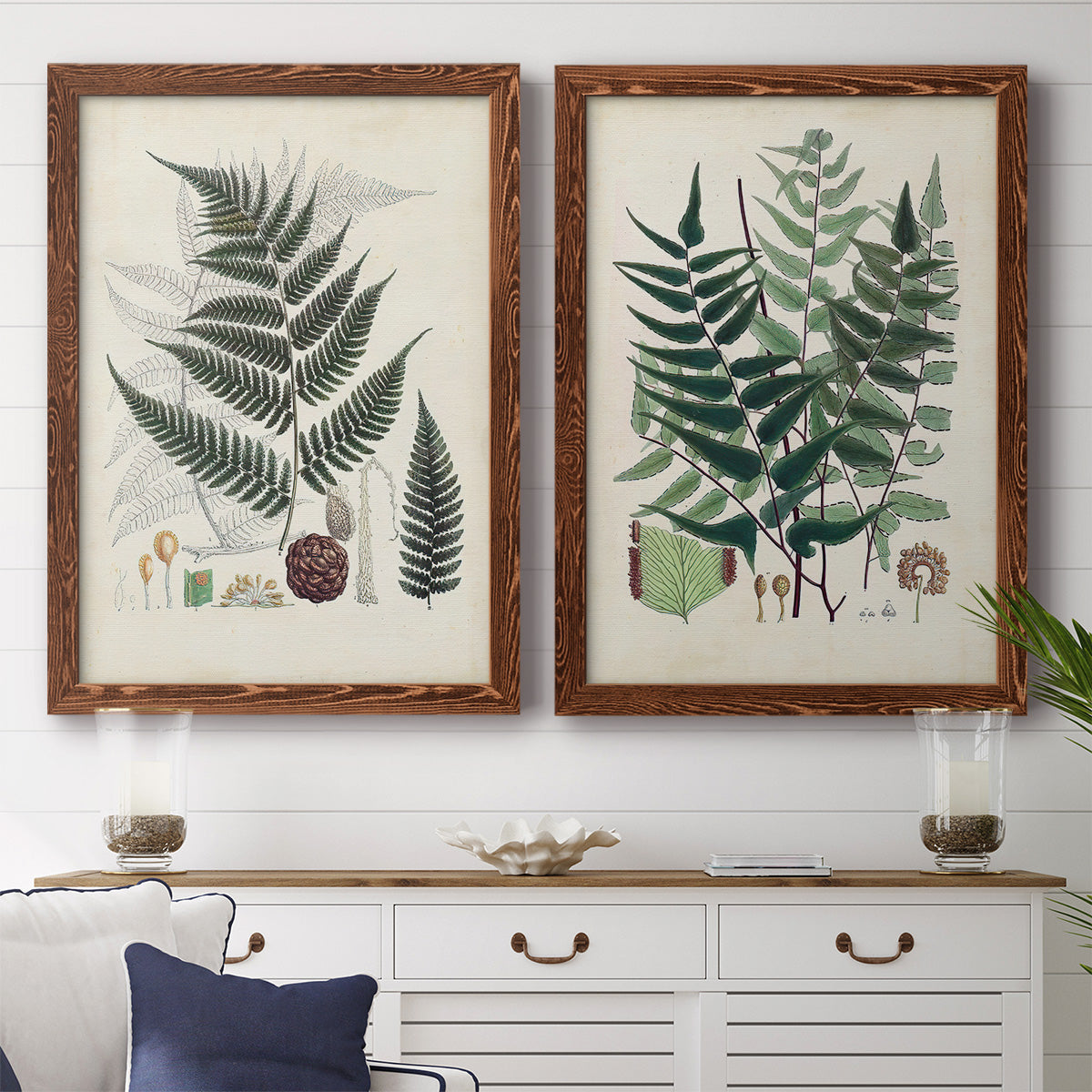 Set of two maple barnwood framed canvas prints depicting a coordinated art pair of vintage fern specimens with botanical details rendered as natural-history fern plates above a dining room sideboard.