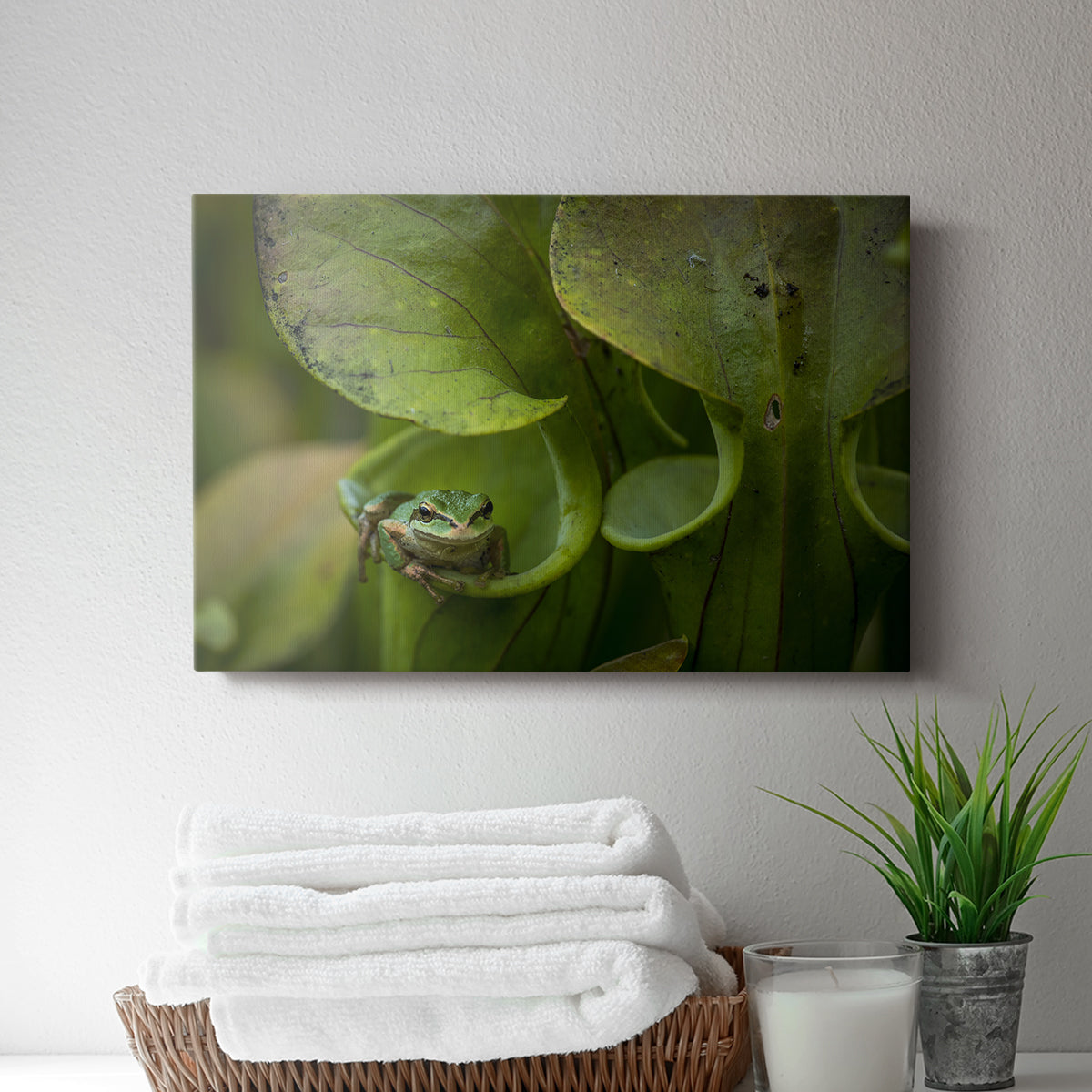 Arboreal Refuge - Canvas Art Print