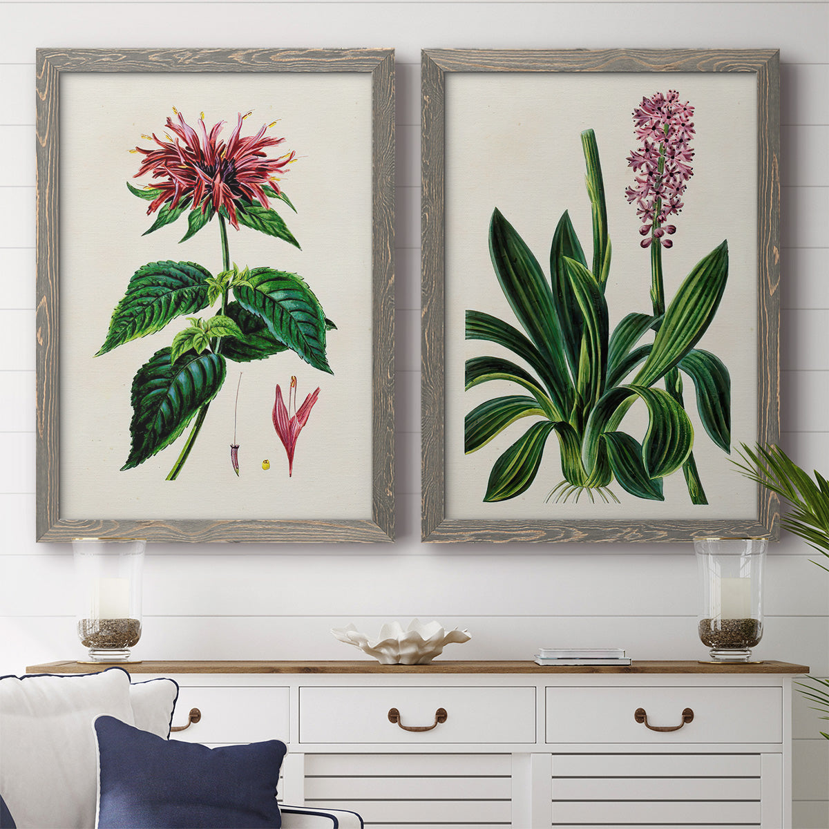 Set of two gray barnwood framed canvas prints depicting a coordinated art pair of colorful flowering plant specimens rendered as antique botanical plate illustrations above a dining room sideboard.