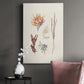 Knorr Shells & Coral VII Premium Gallery Wrapped Canvas - Ready to Hang