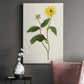 Flowers of the Seasons X - Canvas Art Print