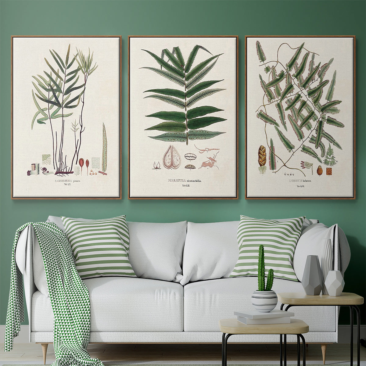 Botanical Society Ferns X - Framed Premium Gallery Wrapped Canvas L Frame 3 Piece Set - Ready to Hang