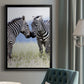 African Affection - Modern Framed Canvas Print