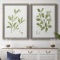 Herb Sage - Premium Framed Canvas 2 Piece Set - Ready to Hang