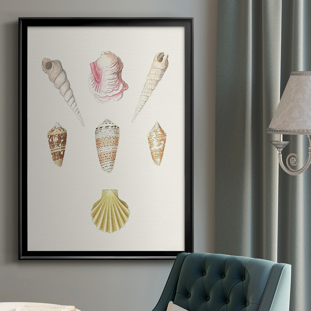 Pastel Knorr Shells I - Modern Framed Canvas Print