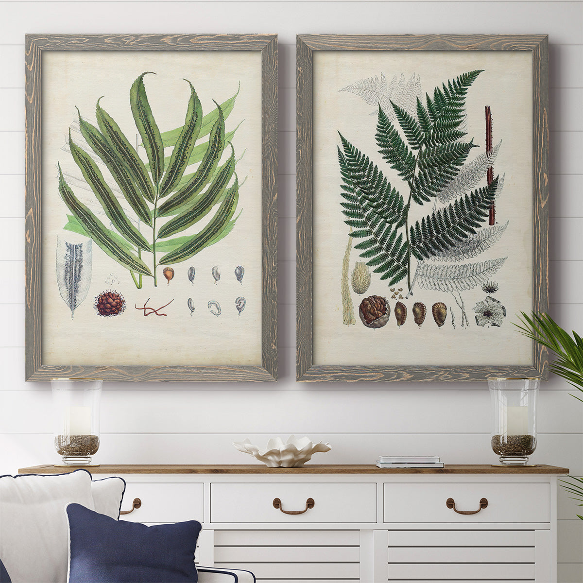 Set of two gray barnwood framed canvas prints depicting a coordinated art pair of vintage fern specimens with botanical details rendered as natural-history fern plates above a dining room sideboard.