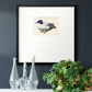 White and Blue Mallard Premium Framed Print Double Matboard