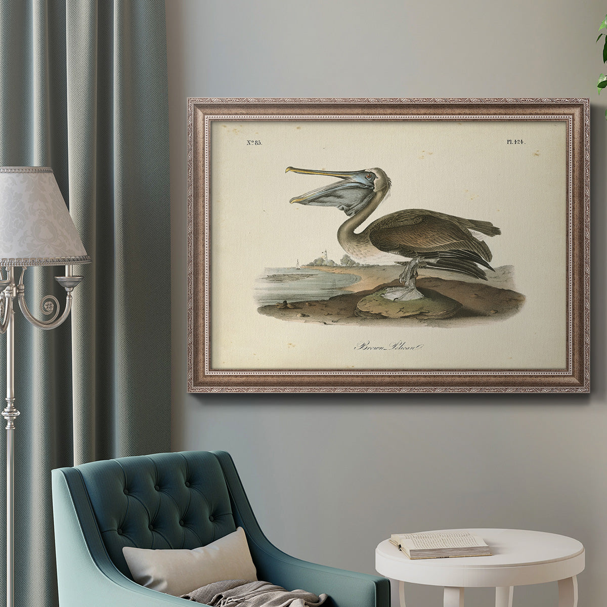 Audubons Brown Pelican - Ornate Framed Canvas Print