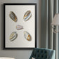 Pastel Knorr Shells III - Modern Framed Canvas Print