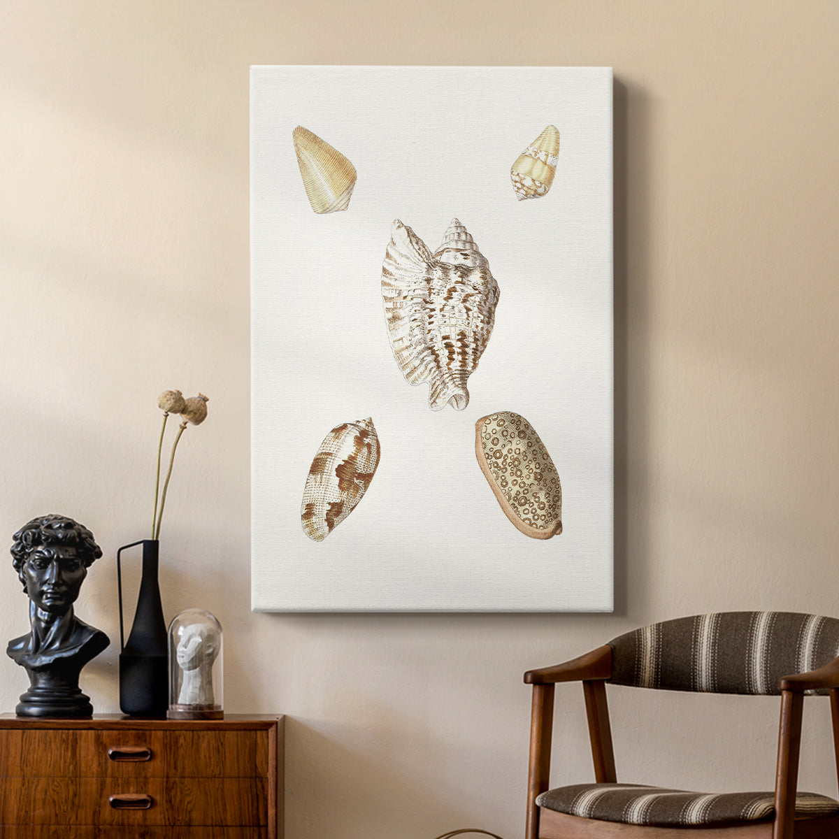 Pastel Knorr Shells VI - Canvas Art Print