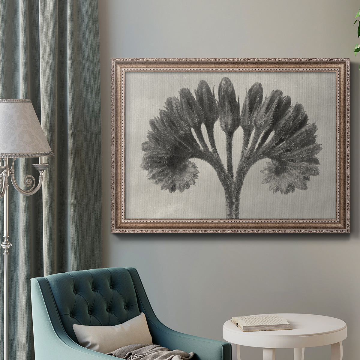 Vintage botanical plant study photograph by Karl Blossfeldt in an ornate traditional silver frame displayed in a neutral interior setting.