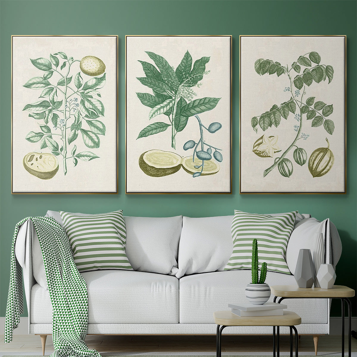 Buchoz Tropicals II - Floater Framed Canvas Set