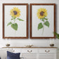 Sunflower I   - Premium Framed Canvas 2 Piece Set - Ready to Hang