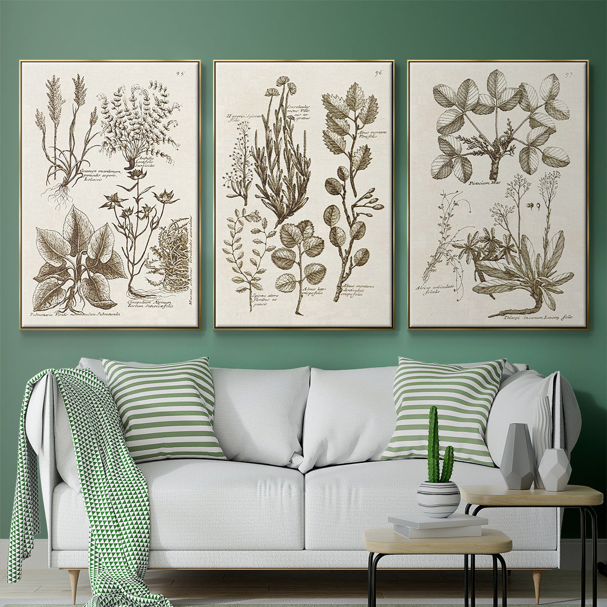 Sepia Botanical Journal VI - Framed Premium Gallery Wrapped Canvas L Frame 3 Piece Set - Ready to Hang