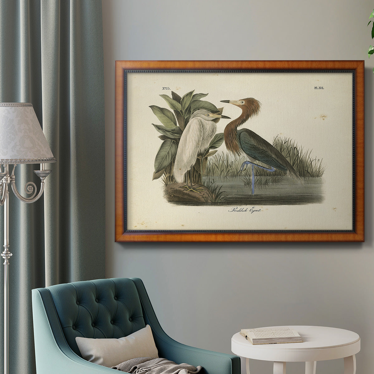 Audubons Reddish Egret Premium Framed Canvas- Ready to Hang