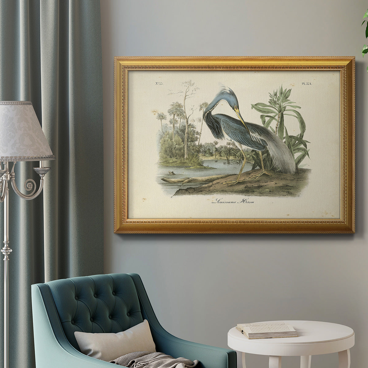 Audubons Louisiana Heron Premium Framed Canvas- Ready to Hang