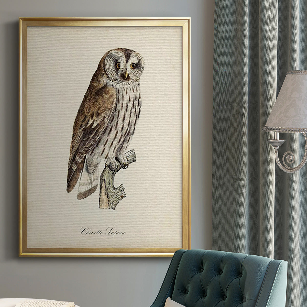 French Owls III - Modern Framed Canvas Print