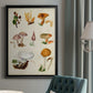Mushroom Species VI - Modern Framed Canvas Print