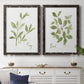 Herb Sage - Premium Framed Canvas 2 Piece Set - Ready to Hang