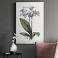 Flower Garden Varietals I - Canvas Art Print