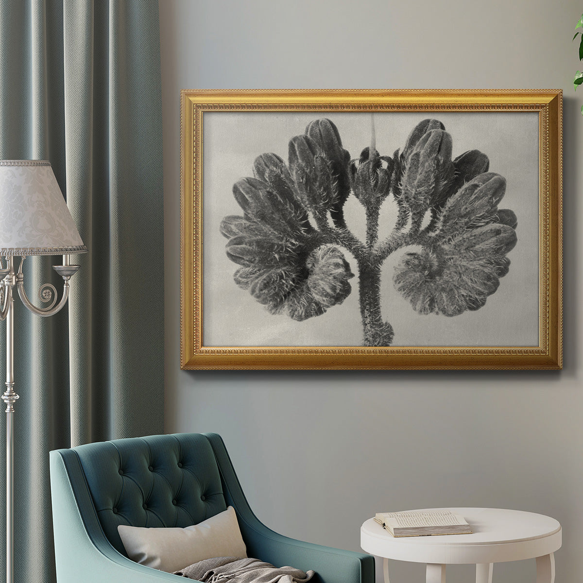 Blossfeldt Botanical VIII Premium Framed Canvas- Ready to Hang