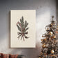 Evergreen of Pearled Carol - Canvas Art Print