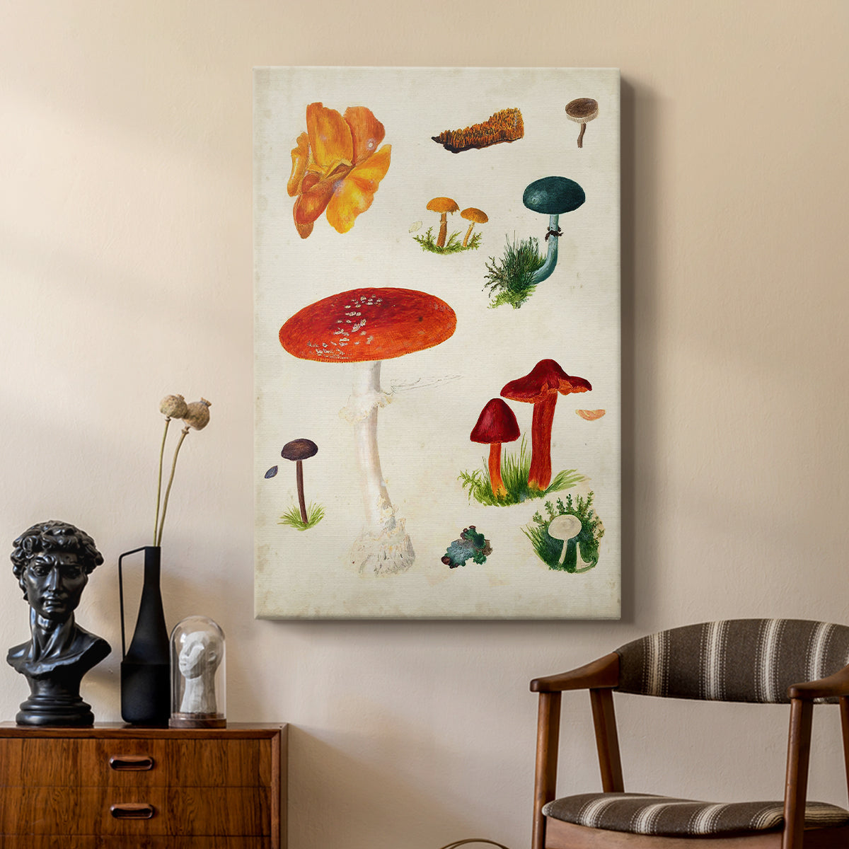 Mushroom Species VIII - Canvas Art Print