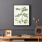 Buchoz Tropicals II - Restickable Framed Art Print