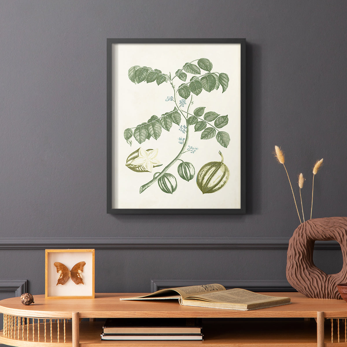 Buchoz Tropicals II - Restickable Framed Art Print