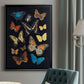 Collected Flutter IV - Modern Framed Canvas Print