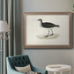 Morris Sandpipers VIII Premium Framed Canvas- Ready to Hang