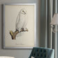 French Owls IV - Modern Framed Canvas Print